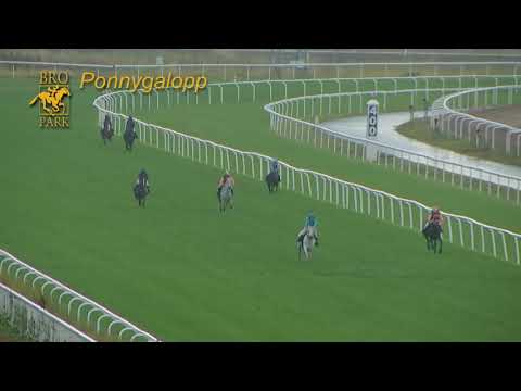 Lopp 5 30 Augusti 2020