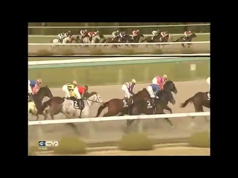2015.12.20 Betelgeuse Stakes (JPN) - Meiner Baika