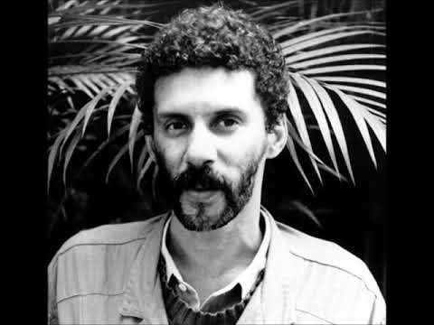 🎶Gonzaguinha - O que é,  O que é? (Viver e não ter a vergonha de ser feliz)