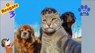 Animais Engraçados - Binho e Mel - O Resgate 3