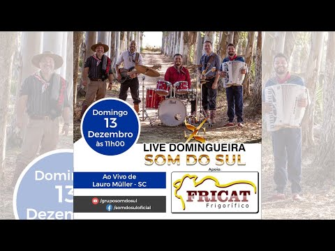 Live Domingueira - Grupo Som do Sul - ao Vivo de Lauro Muller
