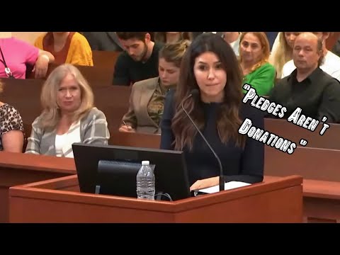 Amber Heard CAUGHT LYING About Donations and SNAPS At Johnny Depp's Lawyer.