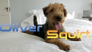 Oliver Squirt is 