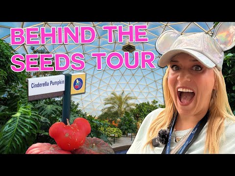 Disney World HIDDEN GEMS: EPCOT's Behind The Seeds Greenhouse Tour | The Land, Gift Idea