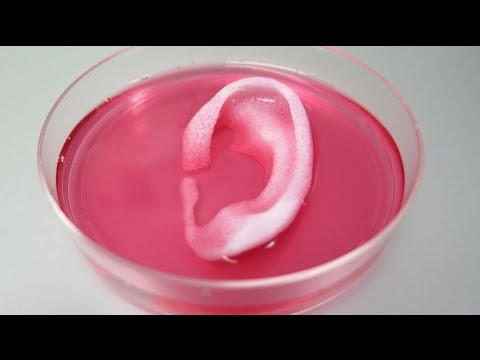 3D Printed Human Tissue Created For Transplant