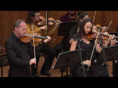 Andreas Makris: Moderato for 2 Violins and Strings - Pavlović, Blaženović, Makris Symphony Orchestra