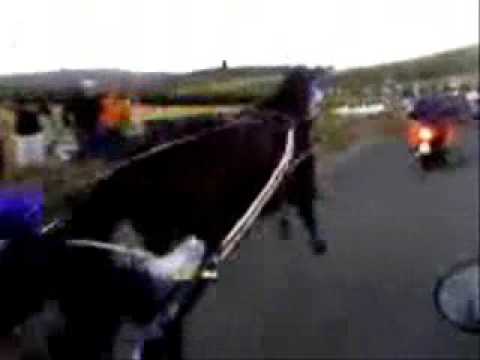 Michele Magliocco - Tempesta Scuderia Salvuccio Catania Official Video