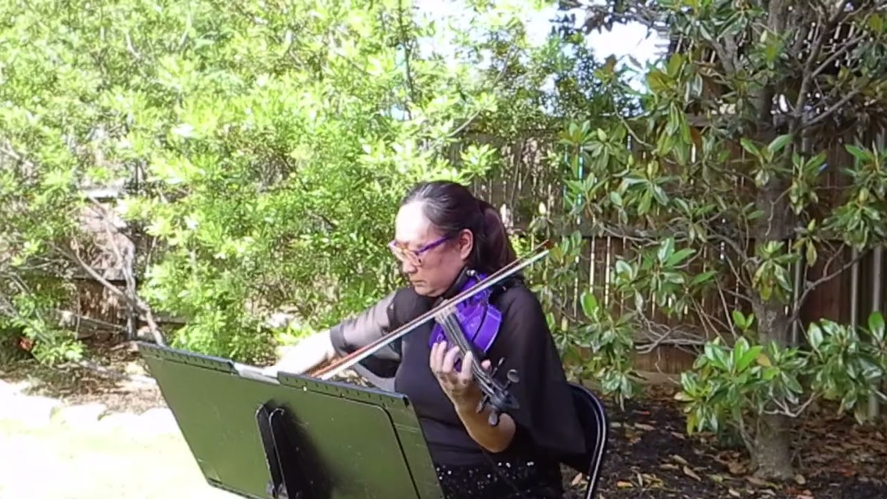 Promotional video thumbnail 2 for Serenata Strings