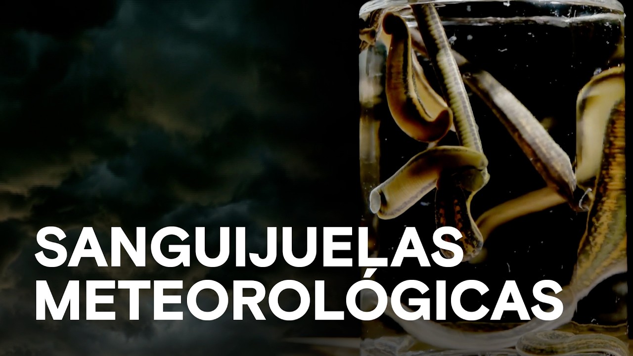 SANGUIJUELAS METEOROLÓGICAS: El bizarro invento de 1850 🩸🌦️ - Cosas extrañas de la historia