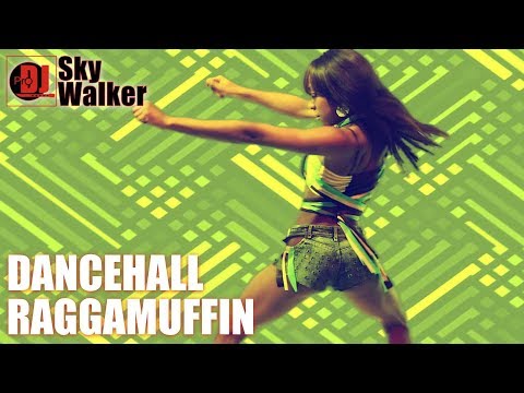 DJ SkyWalker #64 | Dancehall Raggamuffin Hip Hop Old School Mix
