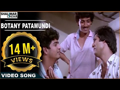 download lagu mp3 mp4 Botany Class Undi Song Free, download lagu Botany Class Undi Song Free gratis, unduh video klip Botany Class Undi Song Free