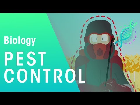 Pest Control | Ecology & Environment | Biology | FuseSchool