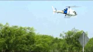 Border Patrol At Work.mp4