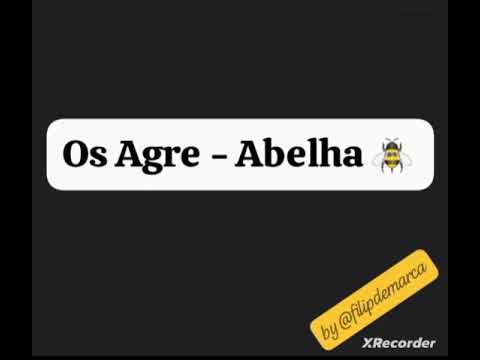 Abelha 🐝 - Os Agre (Kuduro do Guetto)