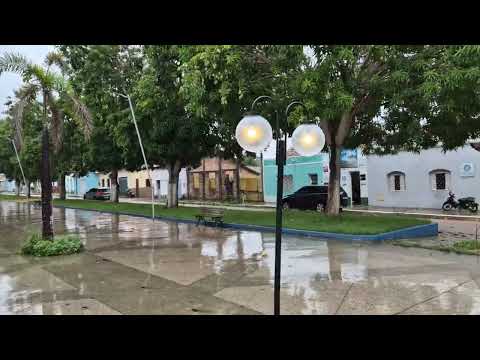 CAROLINA MARANHÃO. muito pé de Manga. VIAGEM DE CARRO 