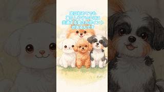 【初めてのお迎え】一緒に暮らしやすい犬種