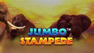 iSoftBet Unleashes A Jumbo Stampede With Their Latest Slot