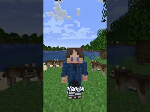 SECRET Minecraft 1.21 Update: NEW Wolf Colors!