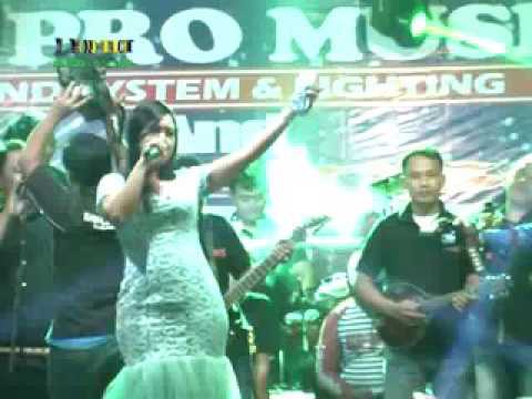 JIDUT & RH SOUND / Terpesona Nova - Anwar by khuple