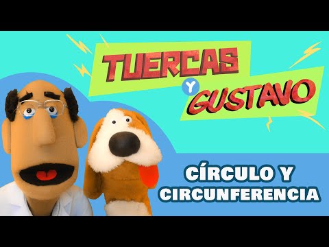 Círculo y circunferencia |  GEOMETRÍA para niños