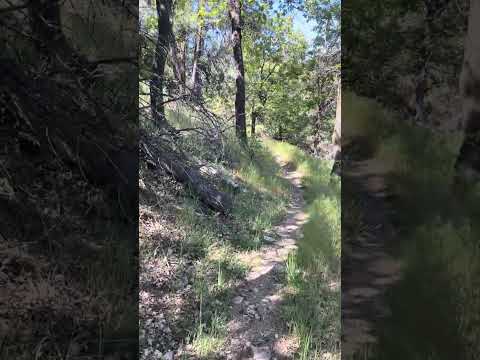 Walking along trail within San Gorgonio Camp Ground