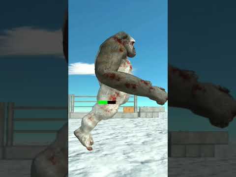 old goro the giant vs new goro the giant