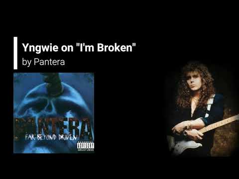 Yngwie Malmsteen Critiques Joe Satriani, Metallica, Kirk Hammett, Pantera, Dimebag, Phil Anselmo