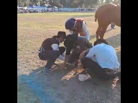 Jineteada  Pozo Borrado