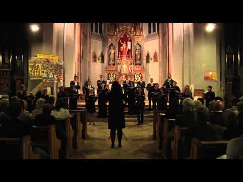 Tabula Rasa Chor - Konzert 2012 - 14 I hear a voice a prayin'