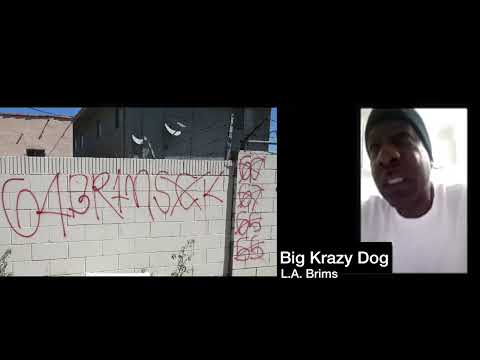 64 Block Brims and Raymond Washington Part 3