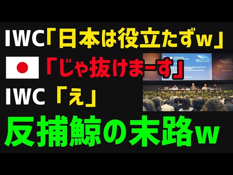 , title : '【総集編】日本のIWC脱退から2年・・・好き放題日本を叩いてきた反捕鯨派とIWCの実態の闇が深かったｗｗ【海外の反応】'