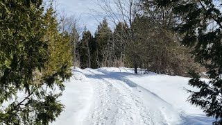 Over you / cover tune