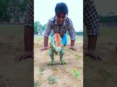 T-Rex Dinosaur, Raptor Dinosaur & Dragons: Miniature Creatures Enter Jurassic World | Dinosaur Point