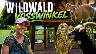 Wir besuchen den Wildwald Vosswinkel