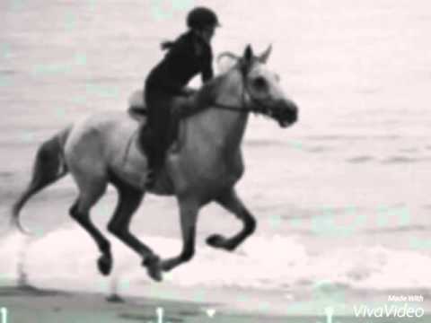 Bernstein// Kapitel 1