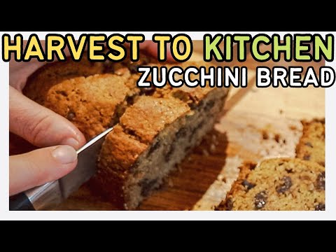 HARVEST TO KITCHEN | Chocolate Chip Zucchini Bread