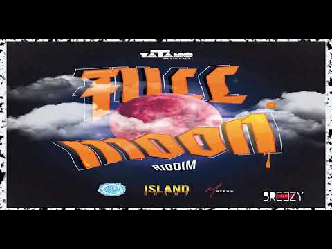 BreezyDozIt - Different (Fullmoon Riddim) [Prod yaTano x 56 Productions]