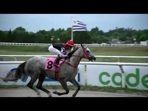 211203 c10 - MALEVOLA (BRZ) - HIPODROMO LAS PIEDRAS