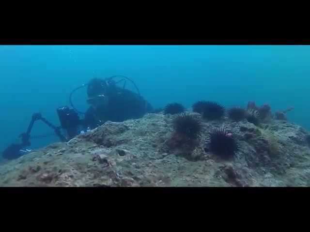 Talius Sportcam Body 1080P Cámara Deportiva Wifi Blanca video