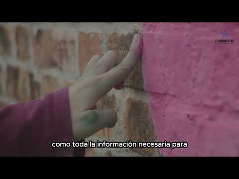 Entrevista a Fulana