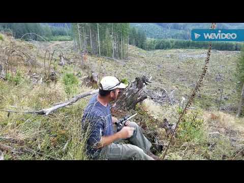 Thompson Center Encore Katahdin Carbine Review 45/70