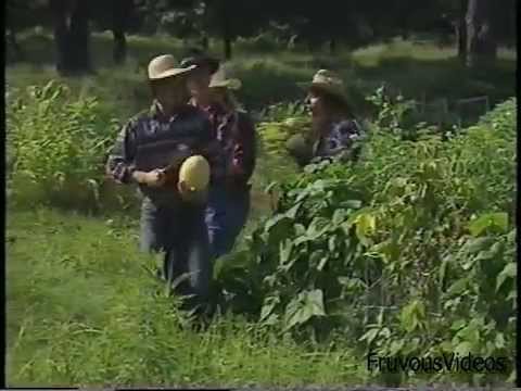 Photosynthesis video thumbnail