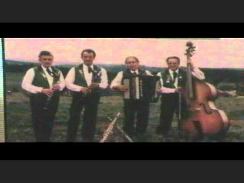 15 WANNTALER lÄNDLERQUARTETT  "Vorwärts-Marsch"