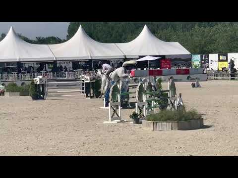 Velino CSN Silver GP Azelhof (Vigo d arsouilles x Stakkatol)