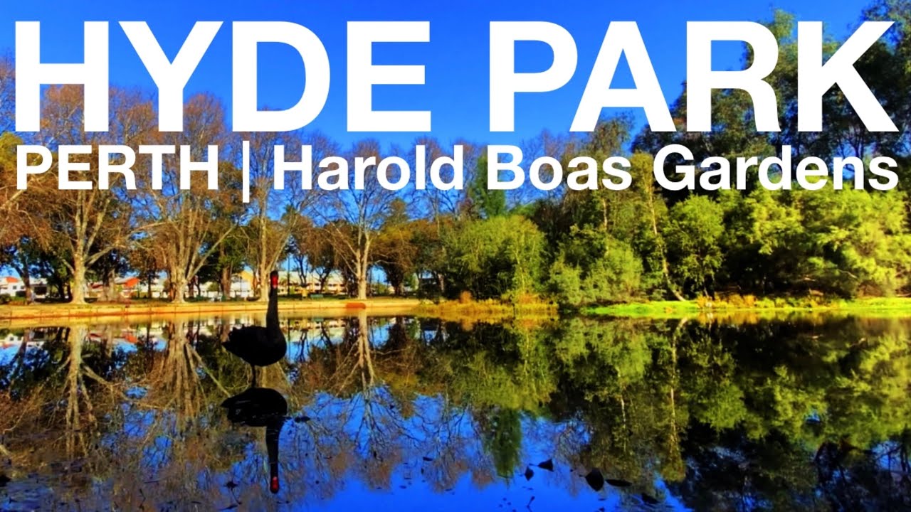 Join a traveler on a visit to Hyde Park.