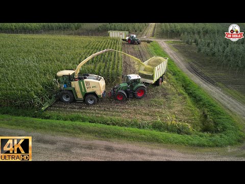 full version Cornharvest 2023 Mulders bv krone big x 850+ easycollect 12 rows+fendt+dronefootage