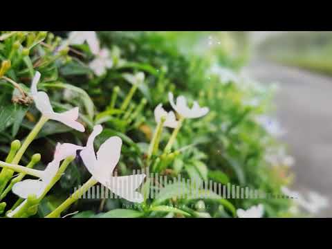 Eagle Music - Outbreak (My Own Made Original Electronic Dance Music)