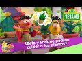Sésamo Beto Y Enrique Podrán Cuidar A Las Plantas