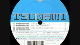 Sidewinder - Mindsensations (Extended Version) 1998