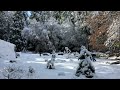 Snowball IN4K 60fps HDR ULTRA HD 4K Video Ultra HD Unbelievable Beauty 4k Video 4k Video Ultra Hd